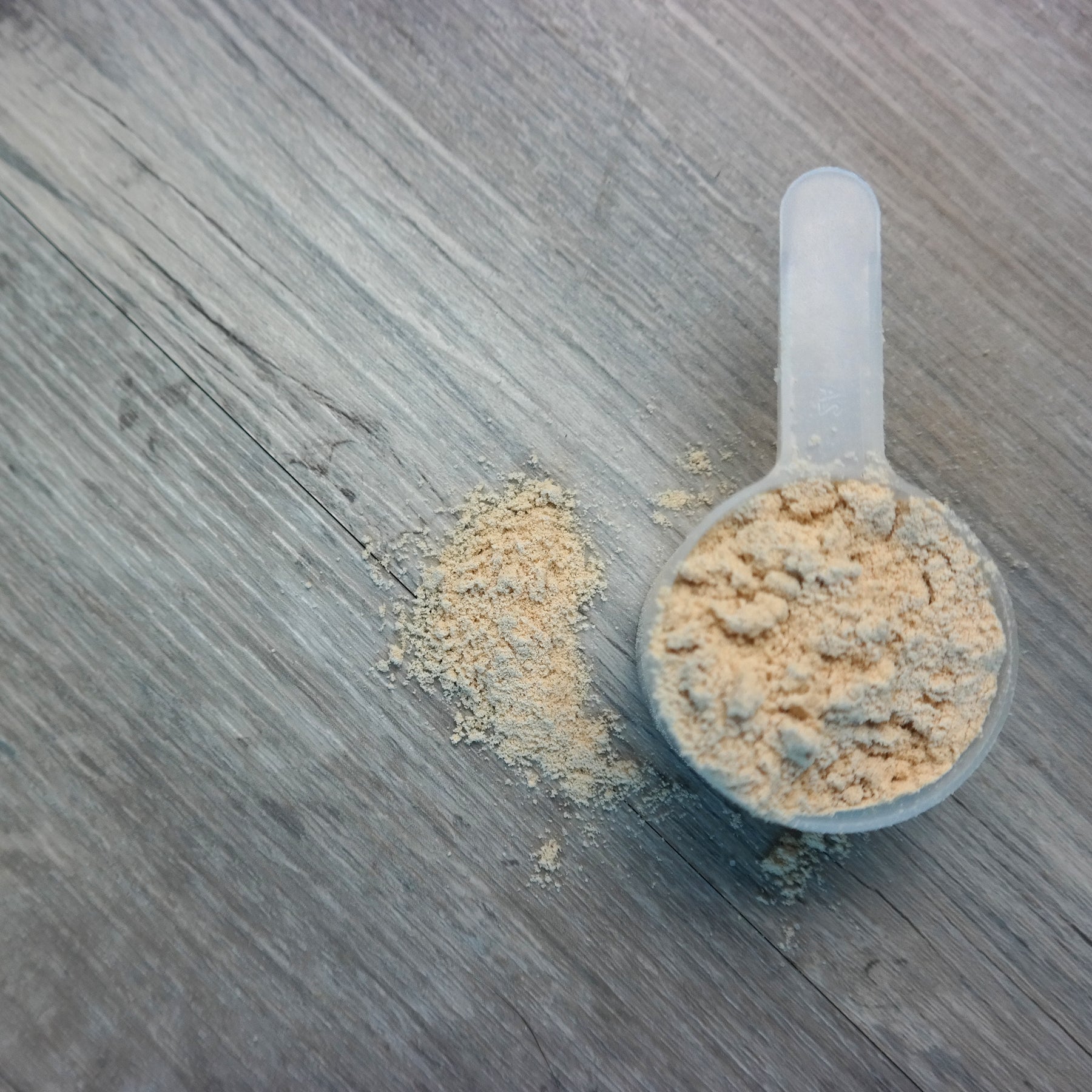 The Benefits of Powdered Bone Broth